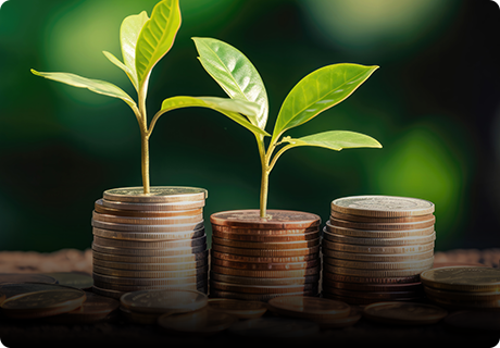 branding-important-img